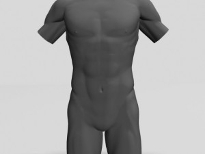 male torso sculpture 12011 3D Model