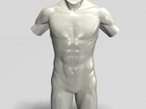 male torso sculpture 12011 3D Model