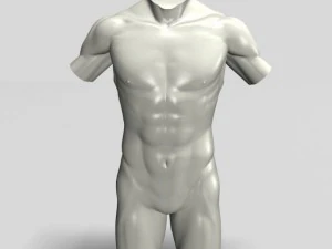male torso sculpture 12011 3D Model