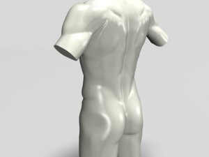 male torso sculpture 12011 3D Model