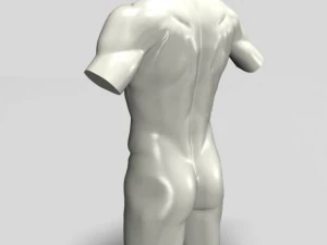 male torso sculpture 12011 3D Model