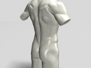 male torso sculpture 12011 3D Model