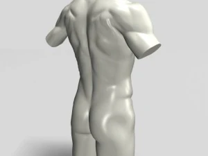 male torso sculpture 12011 3D Model