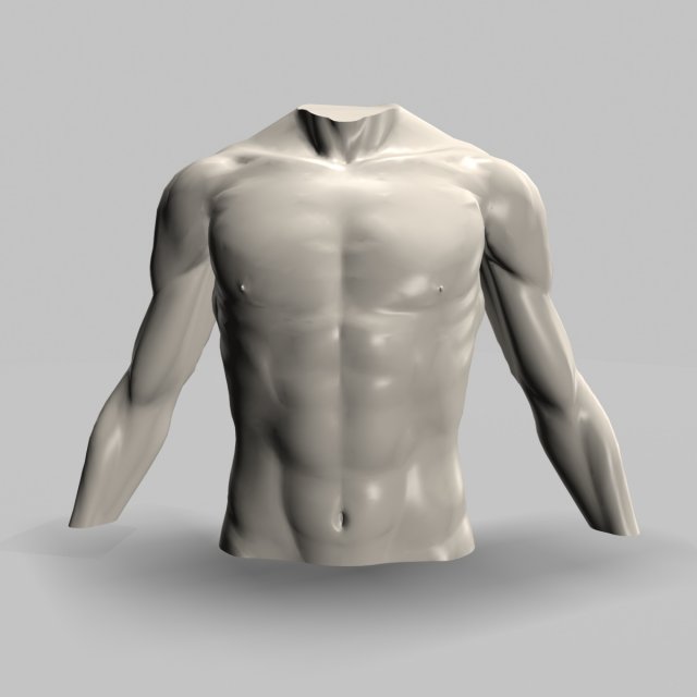 male torso22011 Modelo 3D .c4d .max .obj .3ds .fbx .stl .blend 