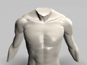male torso22011 Modelo 3D