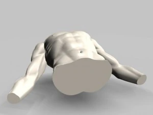 male torso22011 3D Model