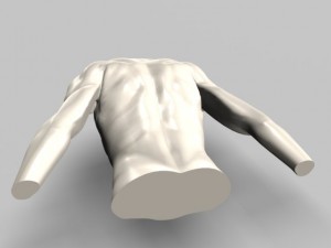 male torso22011 Modelo 3D