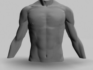 male torso22011 Modelo 3D
