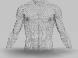 male torso22011 Modelo 3D