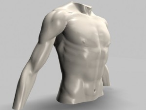 male torso22011 Modelo 3D