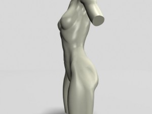 female torso statue 12011 Modèle 3D