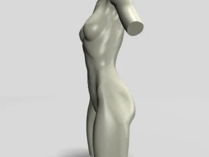 female torso statue 12011 3D Model