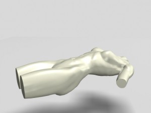 female torso statue 12011 Modèle 3D