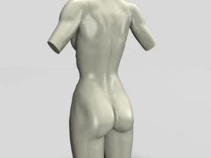 female torso statue 12011 3D Model