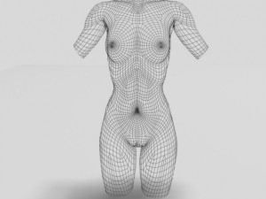 female torso statue 12011 Modèle 3D