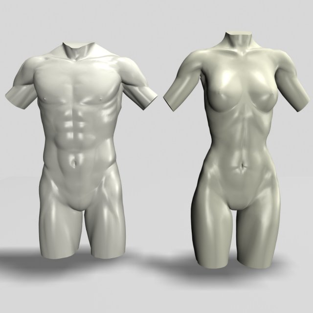 male  female torso statues 12011 Modelo 3D .c4d .max .obj .3ds .fbx .stl .blend 