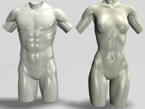 male  female torso statues 12011 3D Model