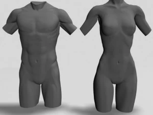 male  female torso statues 12011 3D Model
