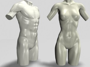 male  female torso statues 12011 Modelo 3D