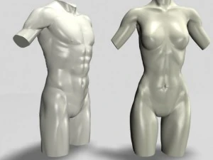 male  female torso statues 12011 3D Model