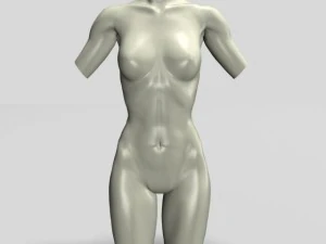 male  female torso statues 12011 3D Model