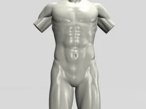 male  female torso statues 12011 3D Model