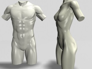 male  female torso statues 12011 Modelo 3D