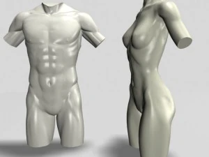 male  female torso statues 12011 3D Model