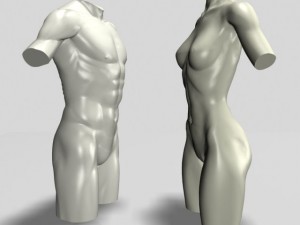 male  female torso statues 12011 Modelo 3D
