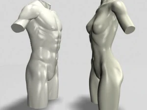 male  female torso statues 12011 3D Model