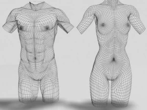 male  female torso statues 12011 3D Model