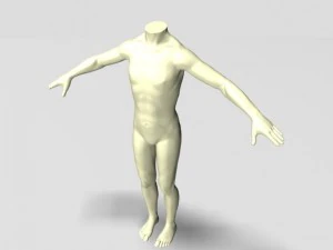headless male mannequin 01 3D Model