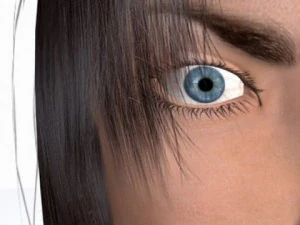 hiro head with morpher targets 3D Model