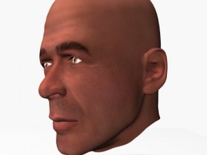 animated male head Model 3D