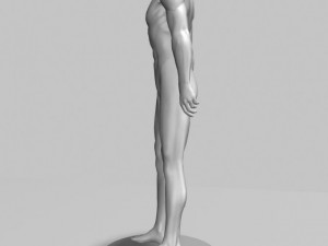 male mannequin 3D Модель