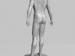 male mannequin 3D Модель