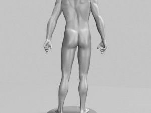male mannequin 3D Модель