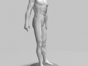 male mannequin 3D Модель