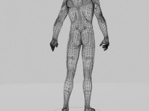 male mannequin 3D Модель