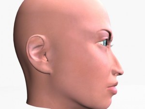 animated female head 3D Модель