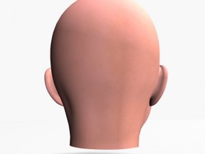 animated female head 3D Модель