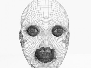 animated female head 3D Модель