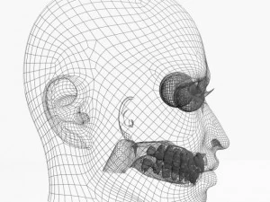 アニメーションの女性の頭 3Dモデル