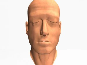 animated male head12011 3D Model