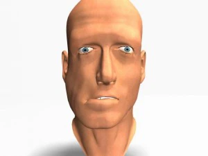 animated male head12011 3D Model