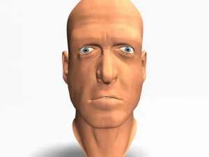 animated male head12011 3D Model