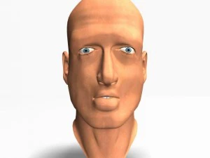 animated male head12011 3D Model