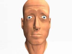animated male head12011 3D Model