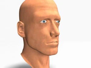 animated male head12011 3D Model