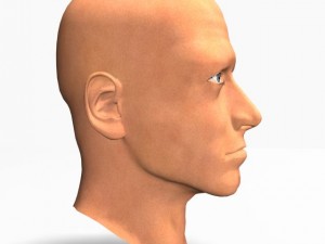 animated male head12011 Modelo 3D